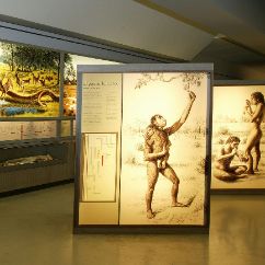Sala de exposición permanente en el Museo